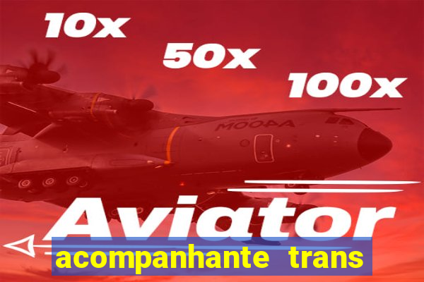 acompanhante trans porto seguro