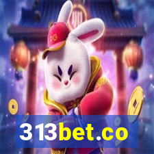 313bet.co