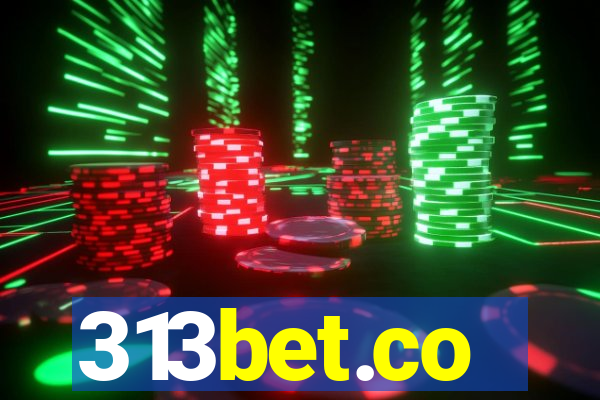 313bet.co