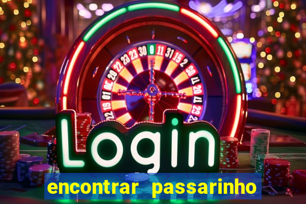 encontrar passarinho morto significado
