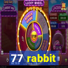 77 rabbit