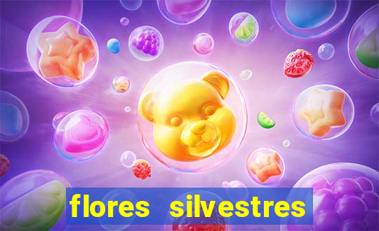 flores silvestres desbravadores desbravadores 25