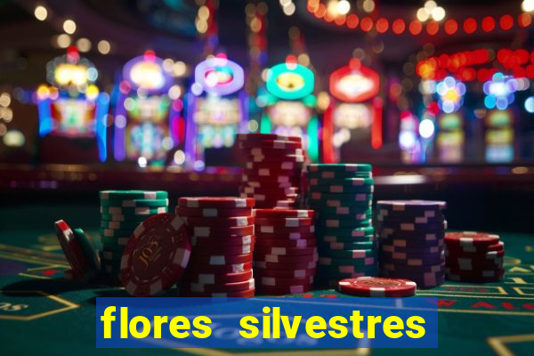 flores silvestres desbravadores desbravadores 25