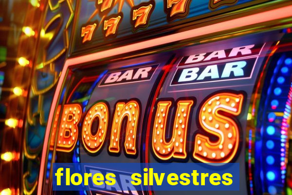 flores silvestres desbravadores desbravadores 25