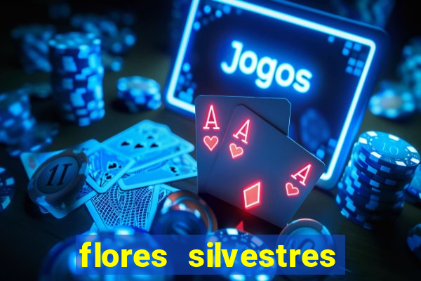 flores silvestres desbravadores desbravadores 25