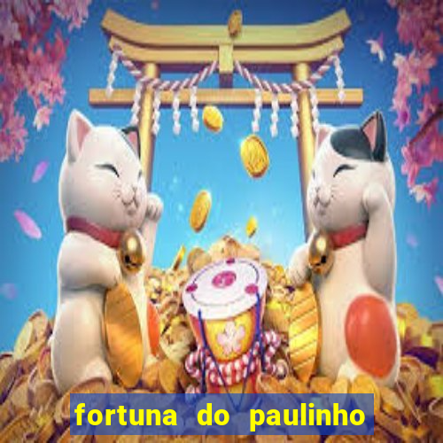 fortuna do paulinho do roupa nova