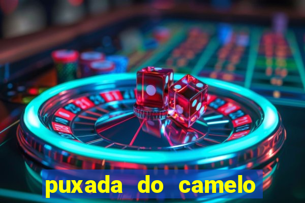 puxada do camelo no jogo do bicho