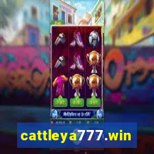 cattleya777.win