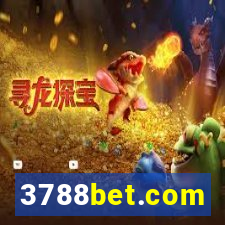 3788bet.com