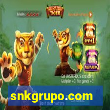 snkgrupo.com
