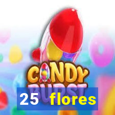 25 flores silvestres desbravadores