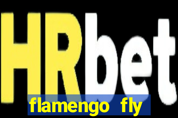 flamengo fly emirates ultimas noticias