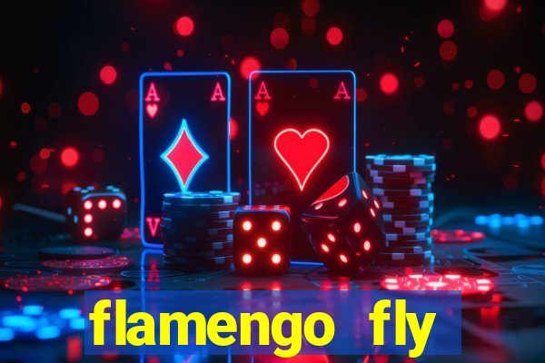 flamengo fly emirates ultimas noticias