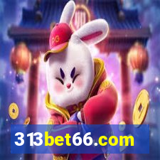 313bet66.com