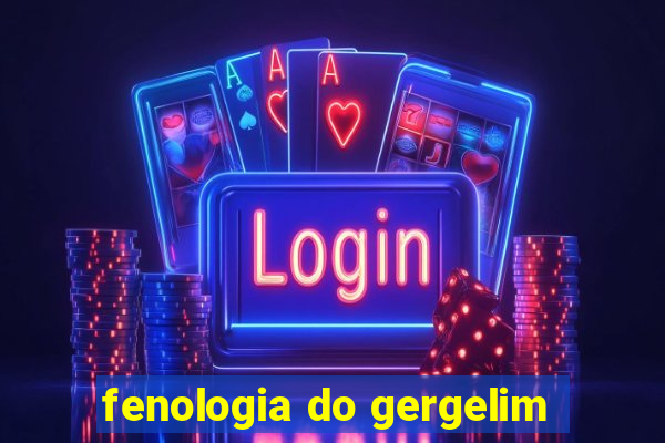 fenologia do gergelim