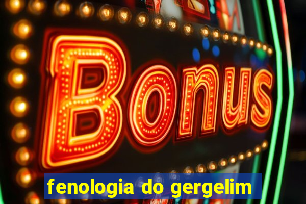 fenologia do gergelim