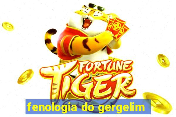 fenologia do gergelim