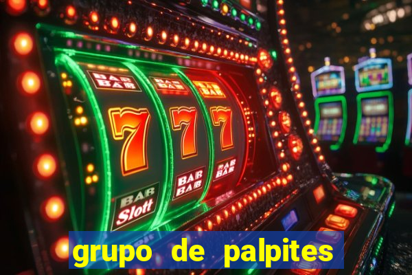 grupo de palpites de futebol telegram