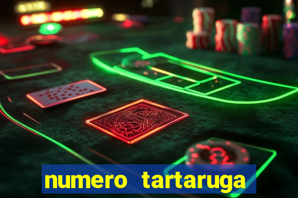 numero tartaruga jogo do bicho