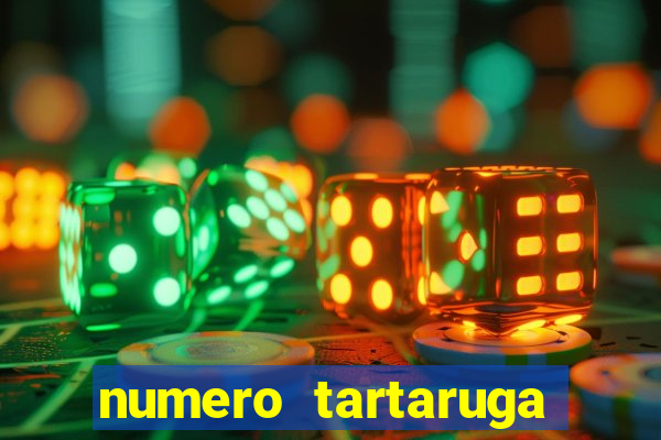 numero tartaruga jogo do bicho