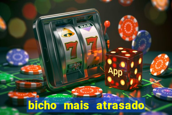bicho mais atrasado na bahia