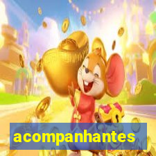 acompanhantes cachoeirinha sp