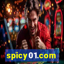 spicy01.com