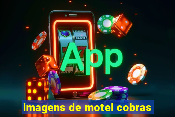 imagens de motel cobras