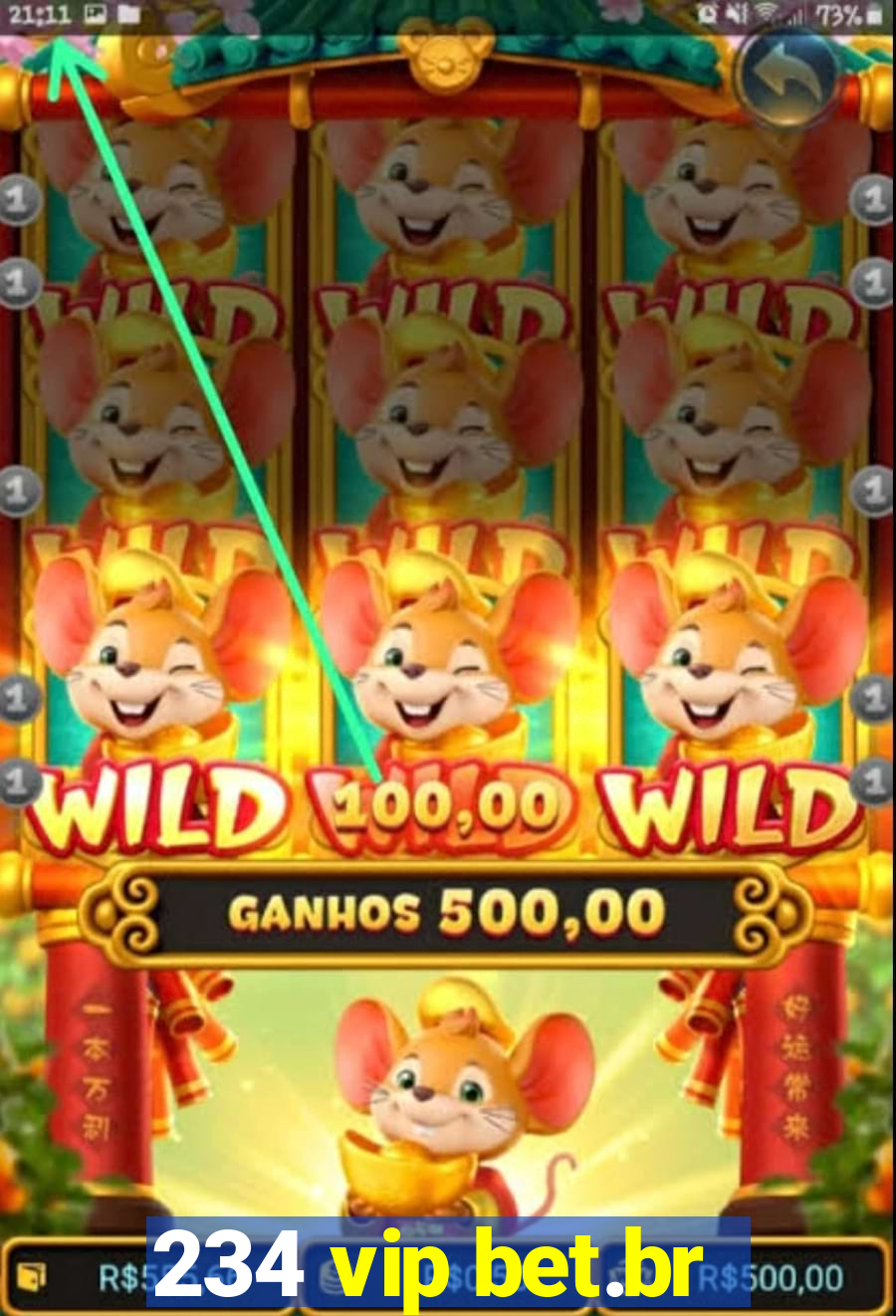 234 vip bet.br