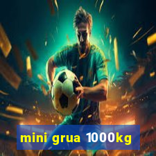 mini grua 1000kg