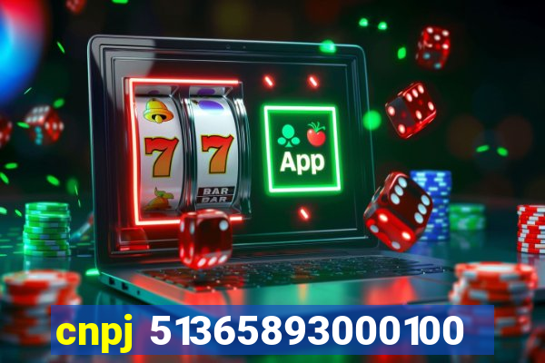 cnpj 51365893000100