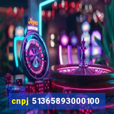 cnpj 51365893000100