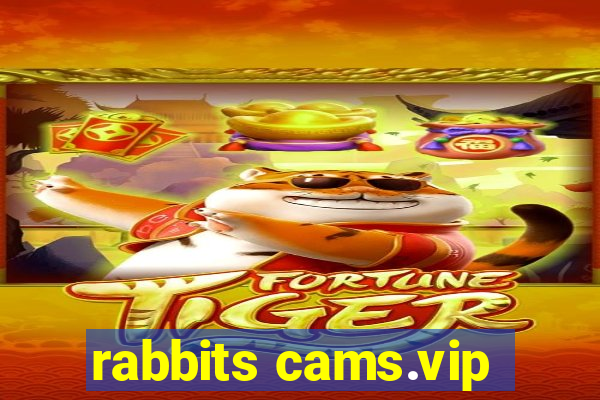 rabbits cams.vip