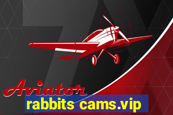 rabbits cams.vip