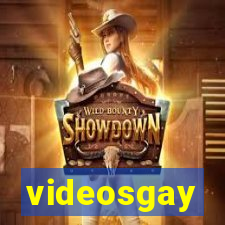 videosgay