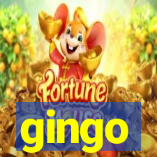 gingo