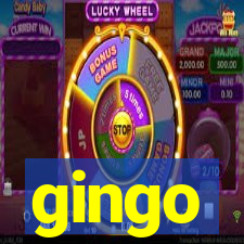 gingo