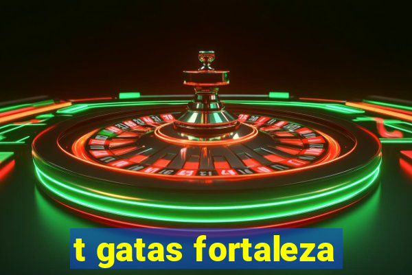 t gatas fortaleza