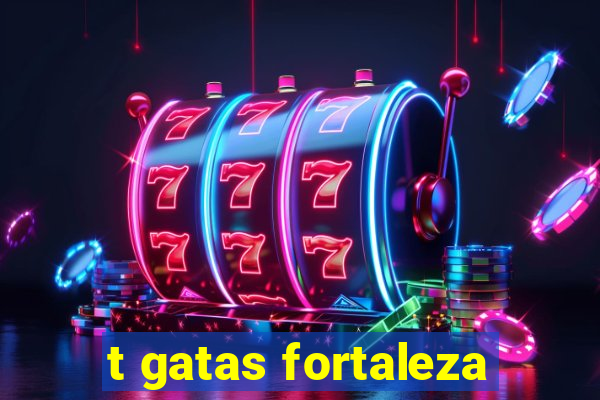 t gatas fortaleza