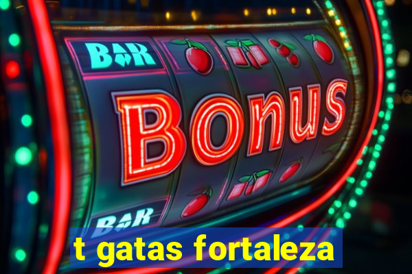 t gatas fortaleza