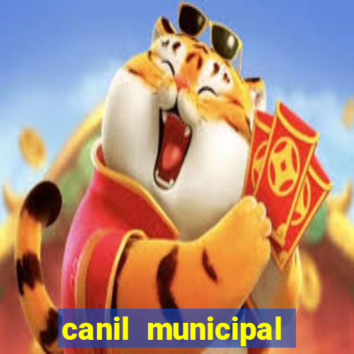 canil municipal porto alegre