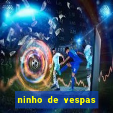 ninho de vespas significado espiritual