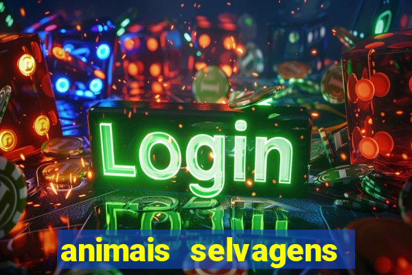 animais selvagens fotos e nomes