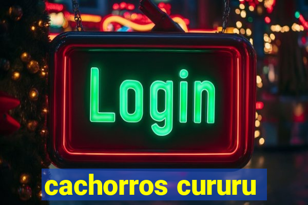 cachorros cururu