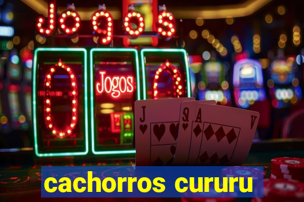 cachorros cururu