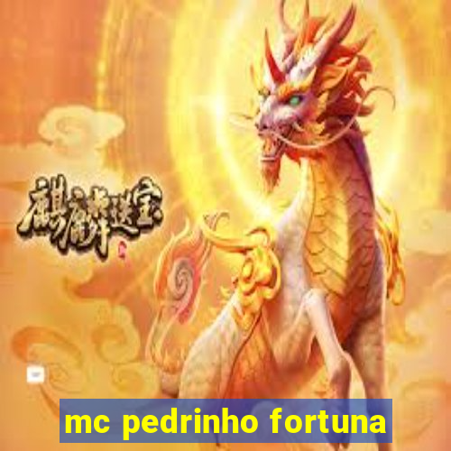 mc pedrinho fortuna