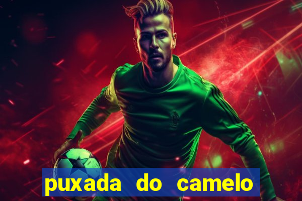 puxada do camelo jogo do bicho