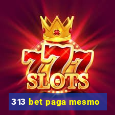 313 bet paga mesmo