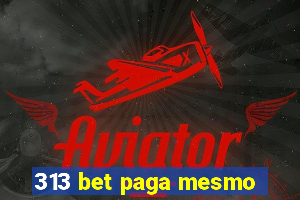 313 bet paga mesmo