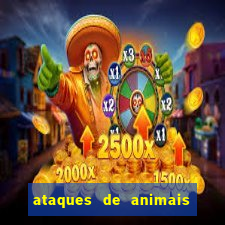 ataques de animais selvagens a humanos fatais